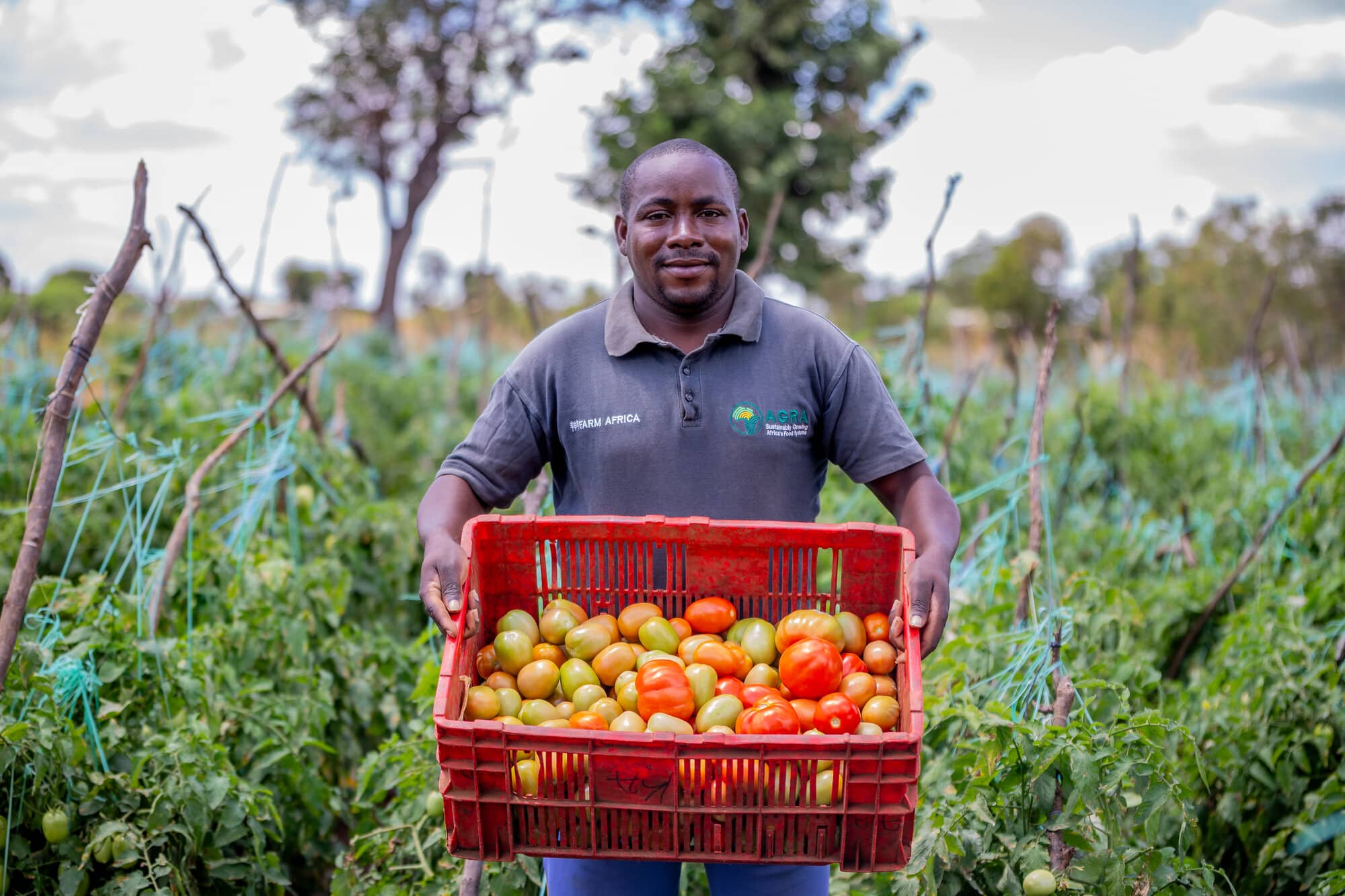 Wakulima wa AFODABO FARM Wanavyonufaika na Teknolojia ya Kisasa
